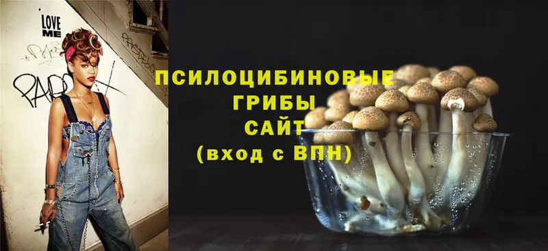 Псилоцибиновые грибы Psilocybe  хочу наркоту  Белорецк 